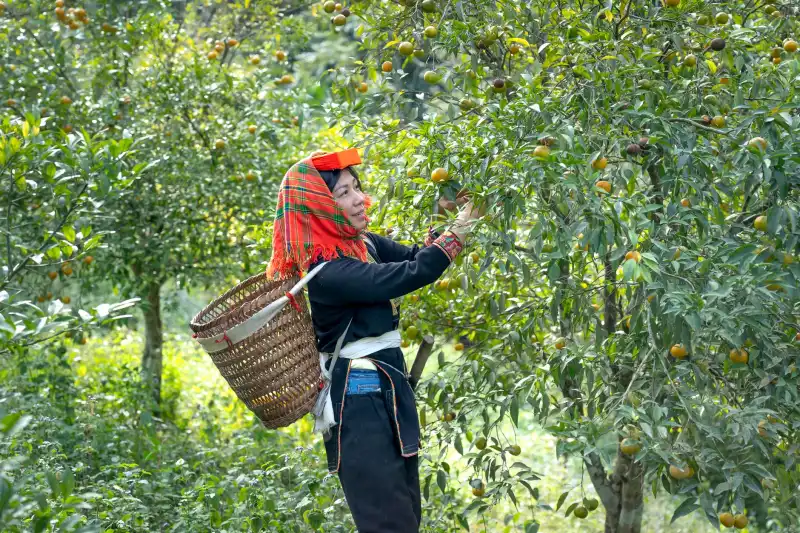 企业如何通过订单管理软件实现销售全流程数字化转型