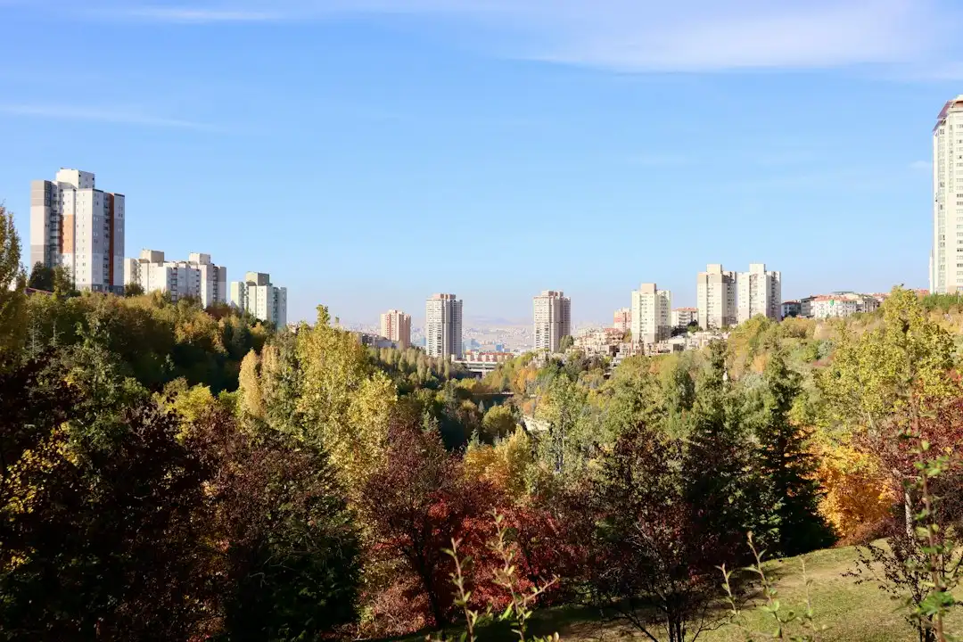 订单管理软件如何与发货管理软件协同实现出库流程自动化
